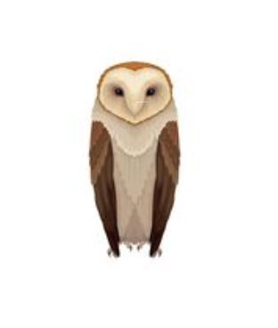 Barn Owl Cutter
